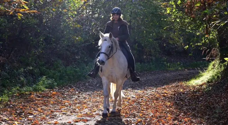 Horse riding is an incredible recreation that can work wonders at boosting your mood