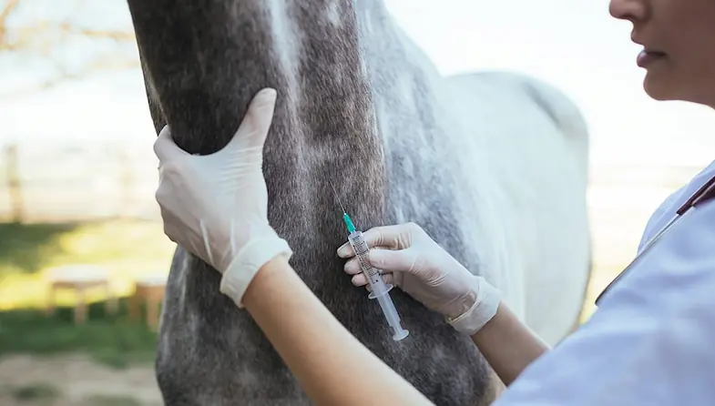 Ask other horse owners if they want to have their horses vaccinated at the same time as yours - it'll save a lot of month in the long run