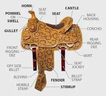 Parts of an Western riding saddle