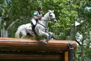 Cross country is one of the three stages in eventing