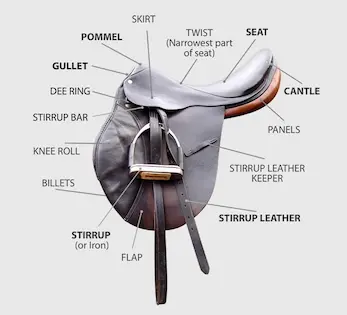 Parts of an English saddle