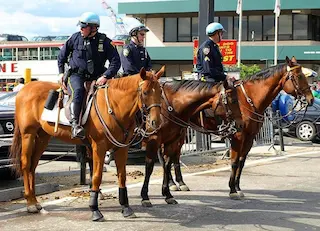A mounted police officer is an often overlooked job