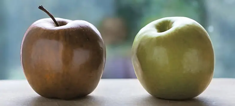 How apples look to horses
