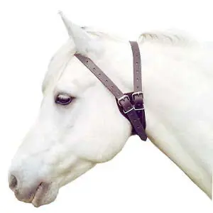 Special collars can be used to stop your horse windsucking