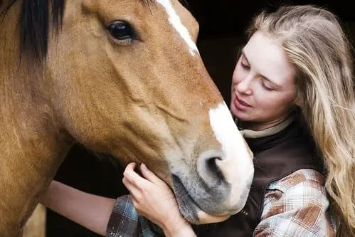 If you're calm around your horse they'll be calmer too