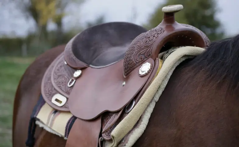 Cleaning your leather saddle will prolong it's lifespan