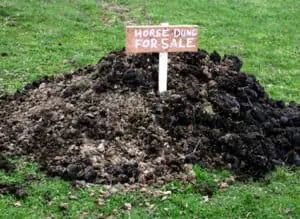 Why not sell or give away horse manure rather than paying for it to be collected