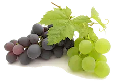 All grapes (regardless of their color) are ideal for horse to eat