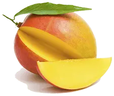 As long as you remove the stone beforehand, mangos make great occasional treat for horses