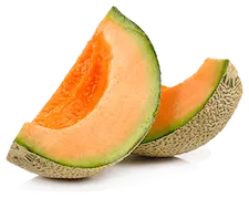 Watermelons are especially good for horses, but all melons make healthy treats