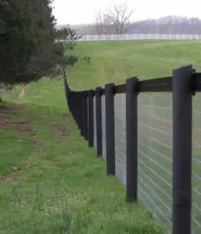Coating wooden fence posts with a preservative can help to stop horses chewing them