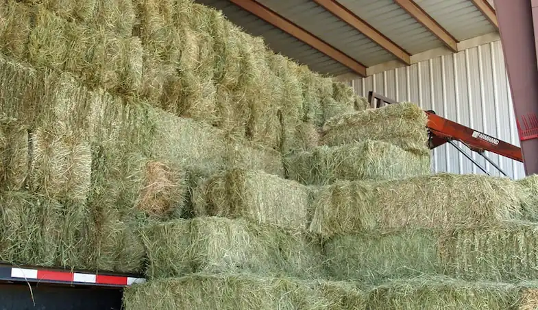 Buying hay in bulk can save you a fortune