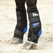 Magnetic boots can help horses with arthritis