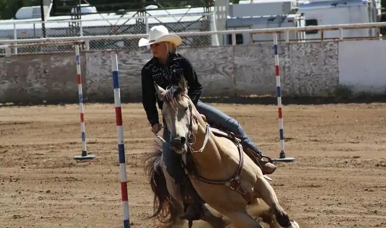 Sports such as pole bending, barrel racing, and eventing are more dangerous that pleasure riding