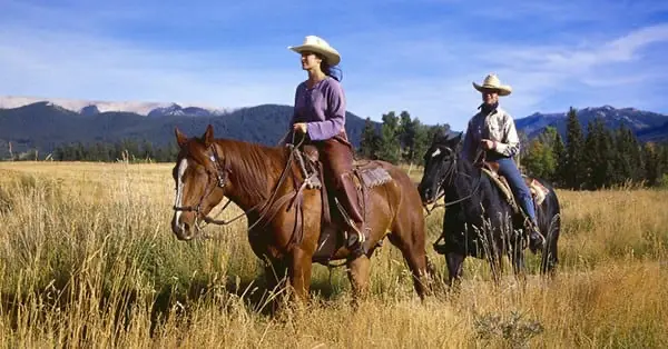 Riding in a group can help to improve your horse's confidence