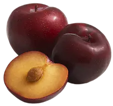 The flesh of plums make a healthy and tasty treat for horses