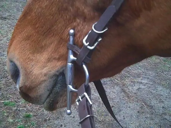 A full cheek bit with the top cheek fixed to the bridle