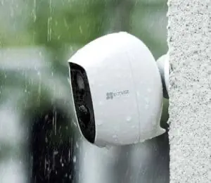 Security cameras can help to keep your horse safe when you're not there