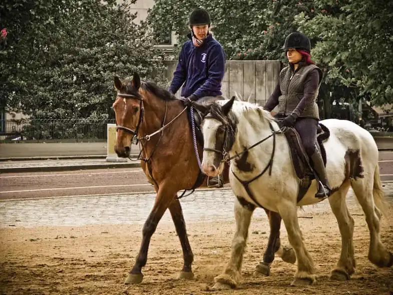 Can you still ride a horse if they have Equine Cushing's Disease?
