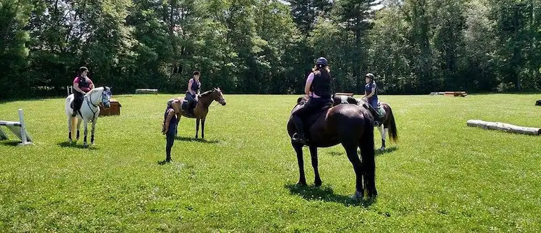 Group riding lessons are much cheaper than private lessons