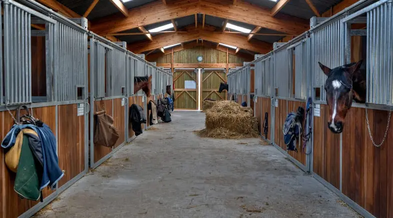 A boarding yard is the most common place to keep a horse