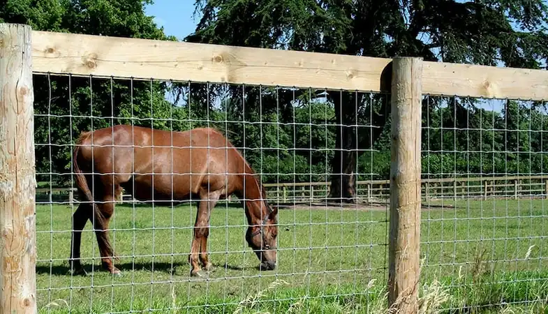 No-climb horse fencing with a top rail