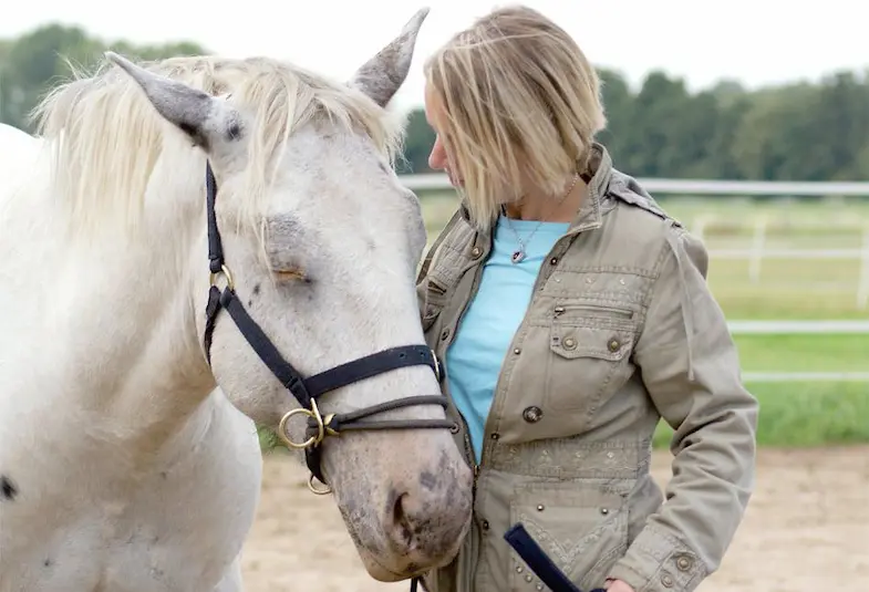 Developed by Monty Roberts, dually halter releases pressure as soon as the works with you.