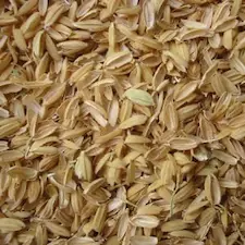Rice hulls are an unusual bedding material for horses but a good choice though