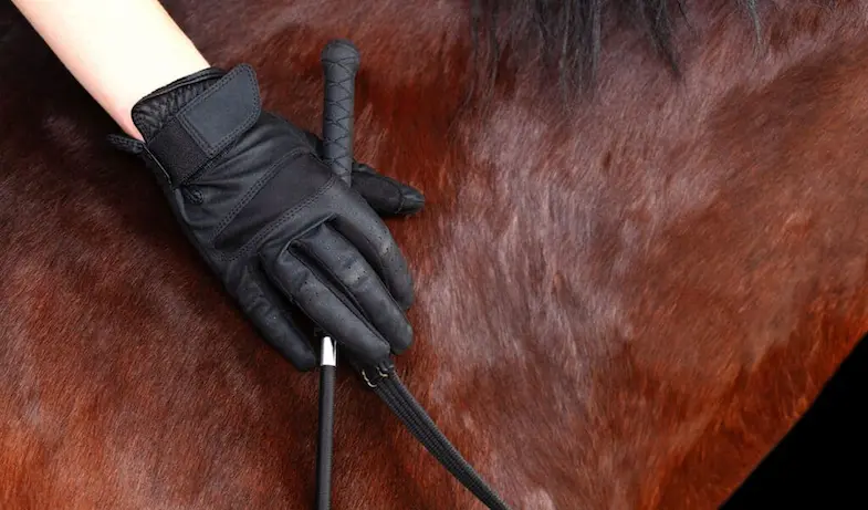 Horse riding gloves are a must