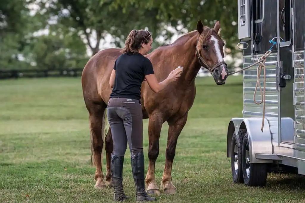 Horse leasing can be a great way to own a horse without the cost