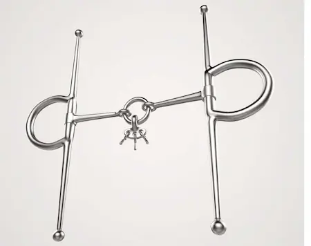 A snaffle with keys