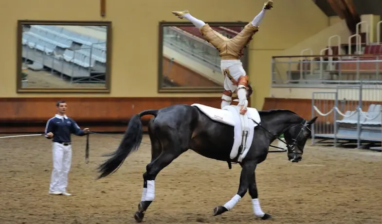 Gymnastics on horseback: the incredible world of equestrian vaulting 
