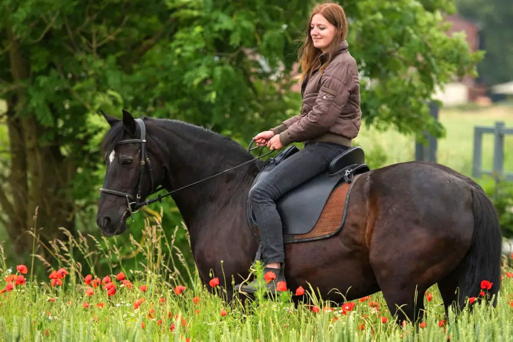 Horseback riding