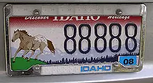 The Appaloosa is the official state horse of Idaho and can be found on license plates