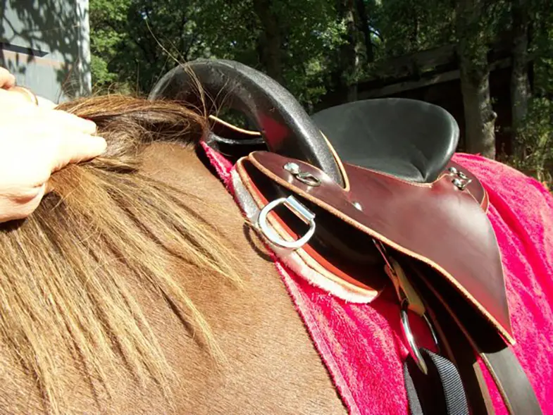 A treeless saddle can be very good for horses that are hard to fit