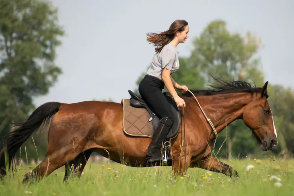 How long does it take to learn to ride a horse?