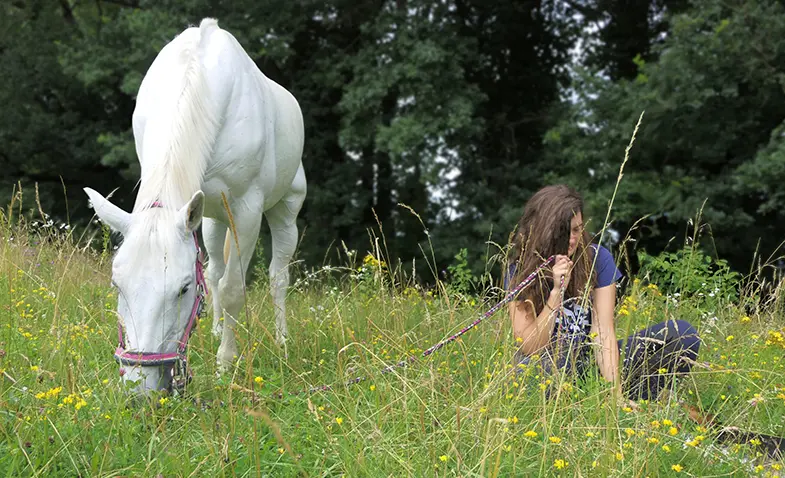Just spending time with your horse can strengthen a bond
