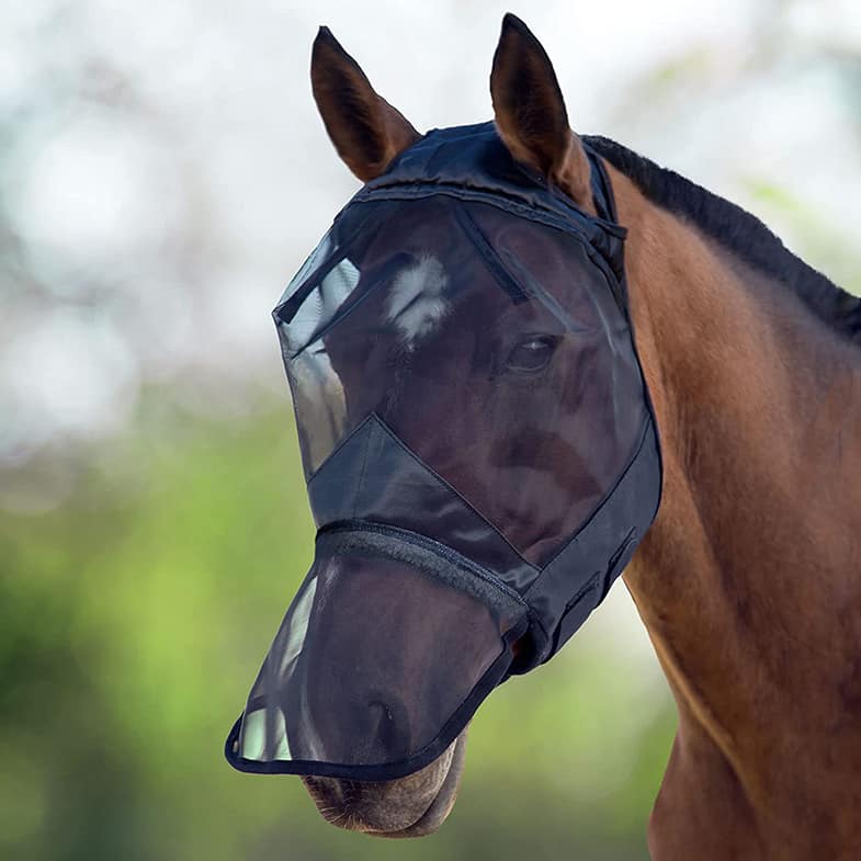 A UV fly mask with a nose covering can really help to stop horses headshaking