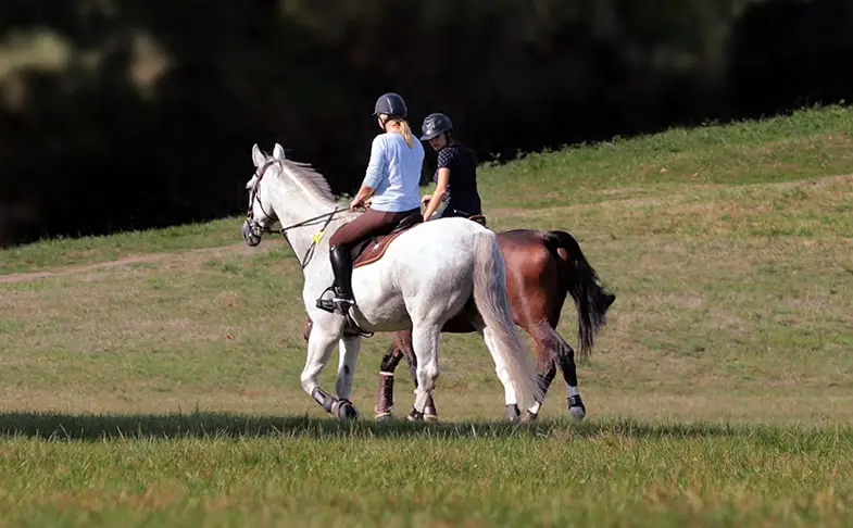 You make some great friends while horse riding