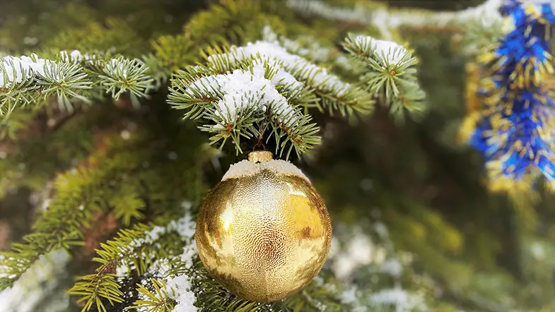 Remove decorations before feed Christmas trees to your horse