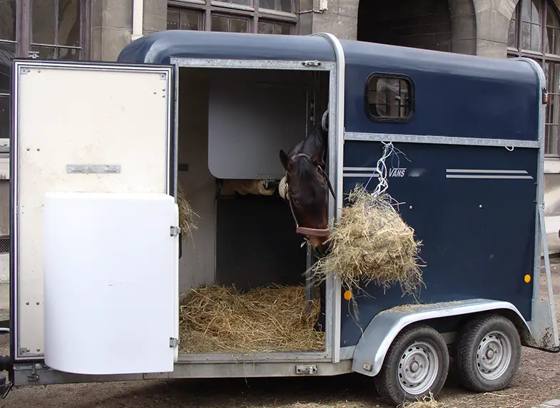 Straw bedding creates a lot of dust so shouldn't be used in your trailer
