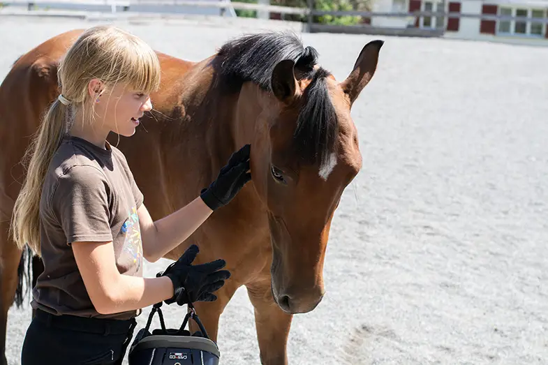Wearing gloves will act as a barrier between you and your horse