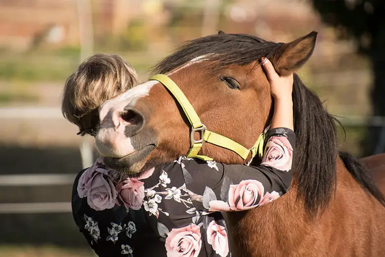 There's no doubt horses enjoy being hugged