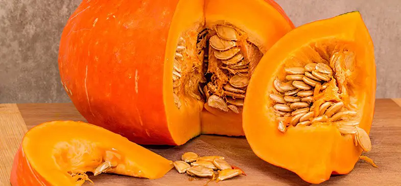Pumpkin seeds are the healthiest part of the fruit