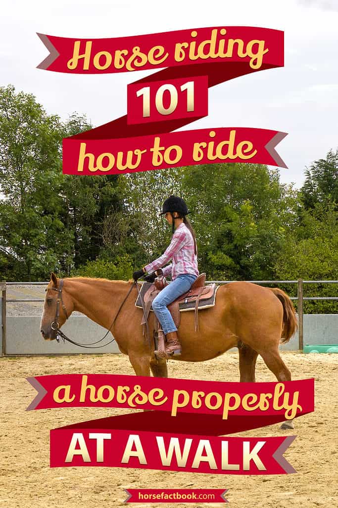 Horse Riding 101 Learn How To Ride A Horse At A Walk Horse FactBook