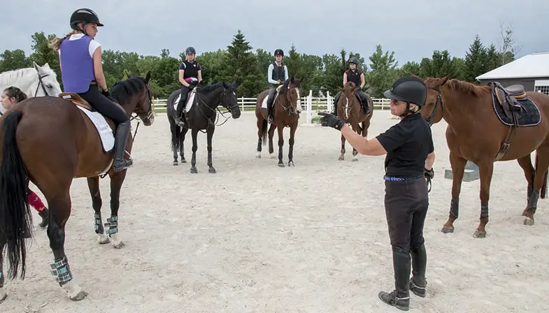 With group horseback riding lessons you won't get one-to-one tuition