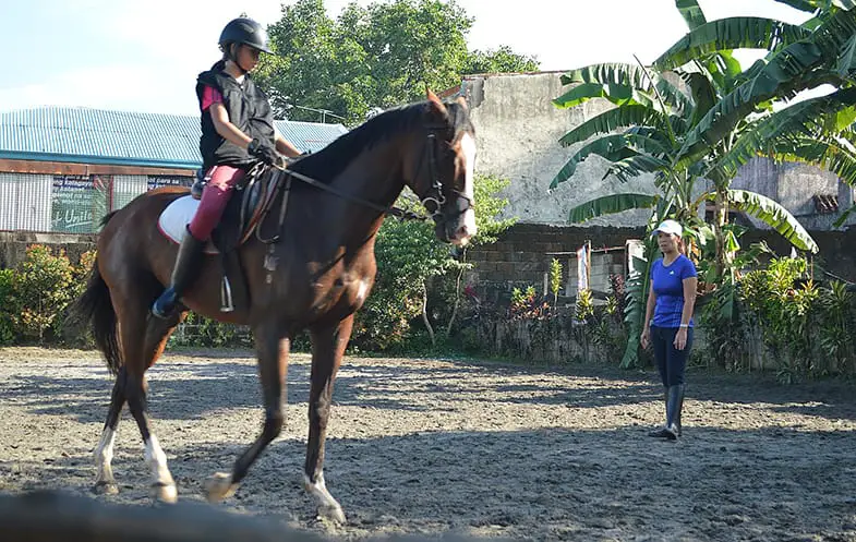 Private horseback riding lessons will mean you get your instructors full attention