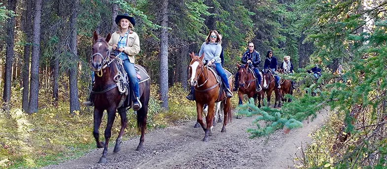 Group horseback riding lessons can be a good way to socialize