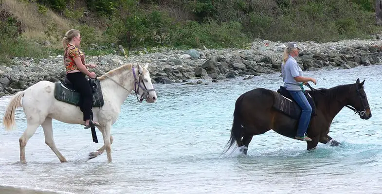 Riding in water can be beneficial for horses