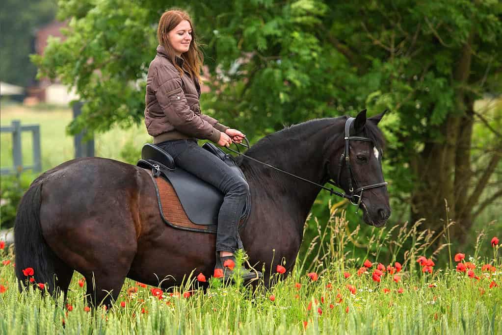 14 Common Riding Mistakes: How To Fix Them & Why You Need To – Horse ...